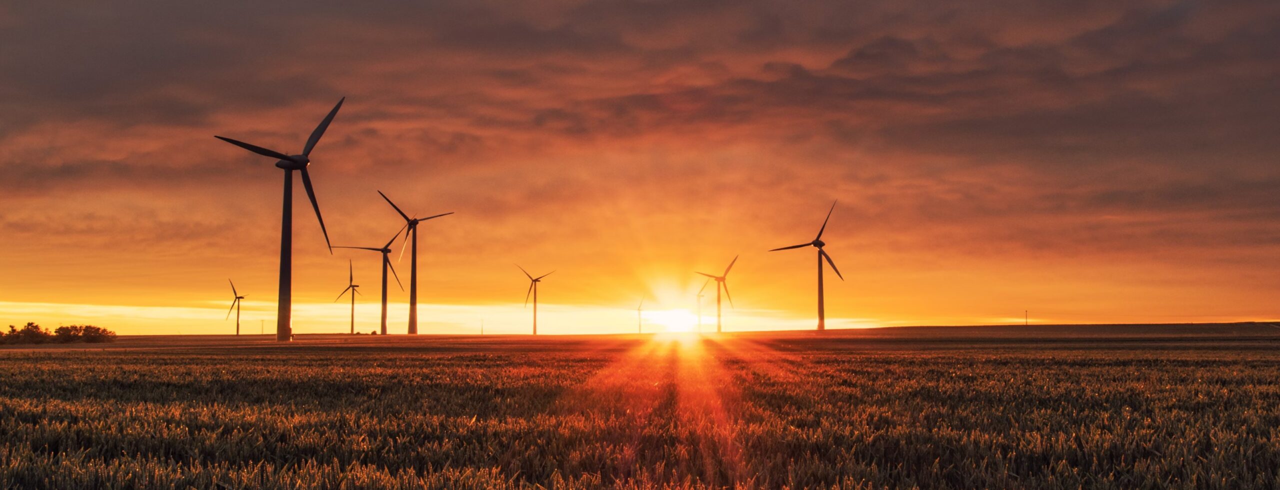Wind turbines across a landscape at sunset